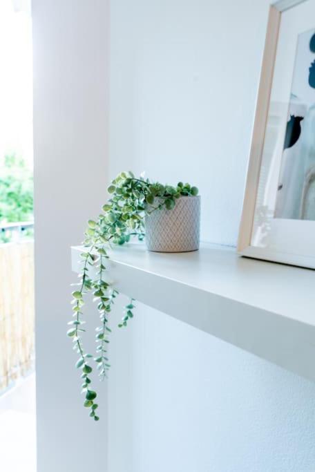 Grape Apartment Pressburg Exterior foto