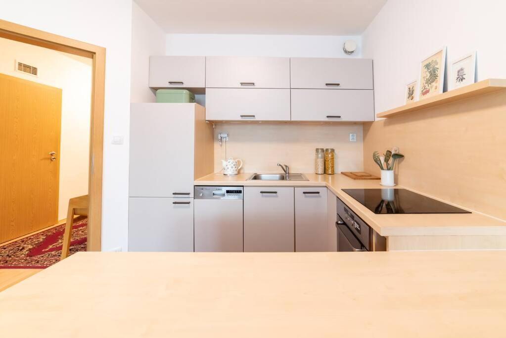 Grape Apartment Pressburg Exterior foto